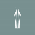 SKBA Capital Management