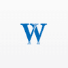 Vermillion & White Wealth Management Group
