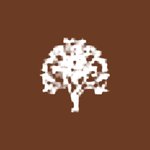 Blackthorn Investment Group