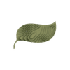 Te Ahumairangi Investment Management