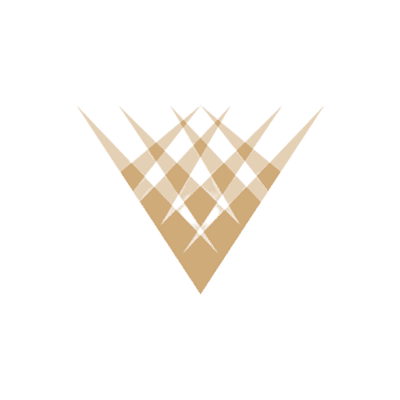 Visionary Wealth Advisors