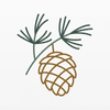 Pine Haven Investment Counsel