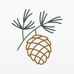 Pine Haven Investment Counsel