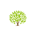 Ironwood Financial