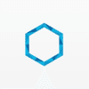 Bornite Capital Management