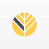 Wealth Advisory Team