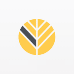 Wealth Advisory Team