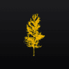 Aspen Capital Management