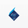 Trent Capital Management