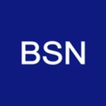 BSN Capital Partners