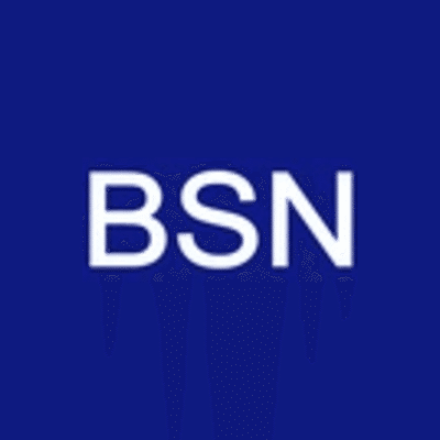 BSN Capital Partners