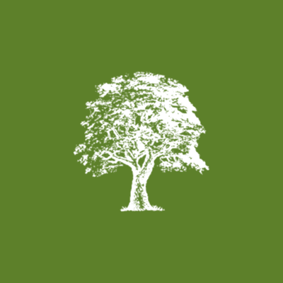 Sycamore Partners Management