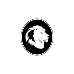 Lionshead Wealth Management