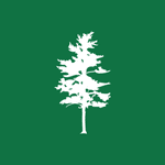 White Pine Investment Company