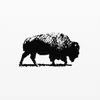 Abrams Bison Investments