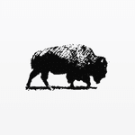 Abrams Bison Investments