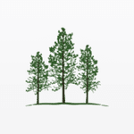 Pines Wealth Management