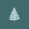 Spruce Point Capital Management