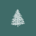 Spruce Point Capital Management
