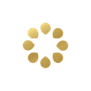 S.E.E.D. Planning Group