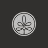 Silver Grove Financial Group