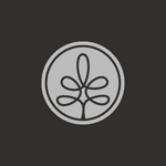Silver Grove Financial Group