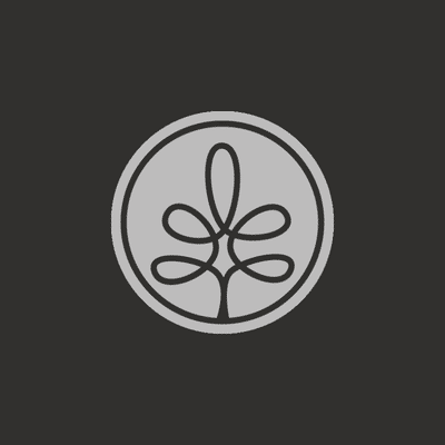 Silver Grove Financial Group