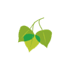 Birch Hill Investment Advisors