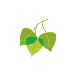 Birch Hill Investment Advisors