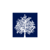 Cherrydale Wealth Management