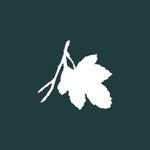 FIG Financial Advisory Services