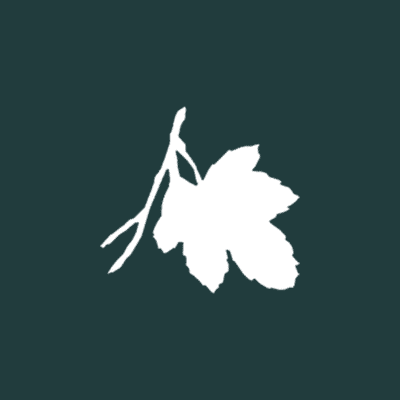 FIG Financial Advisory Services