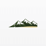 SFM LLC