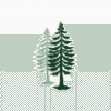 Fir Tree Capital Management
