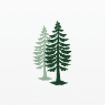 Fir Tree Capital Management