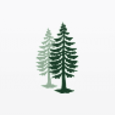 Fir Tree Capital Management