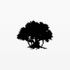Banyan Partners