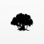 Banyan Partners