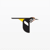 Friends of the Cornell Lab of Ornithology