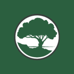 Madrona Financial Services