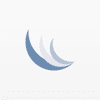 Elberon LLC