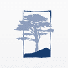 Cypress Capital