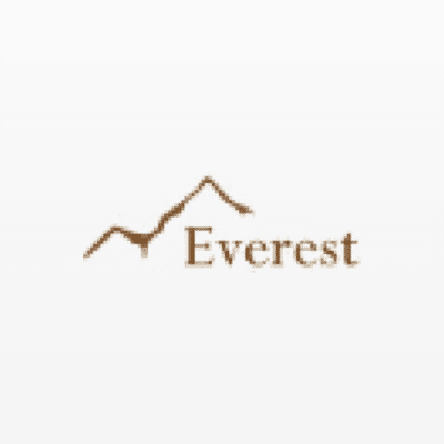 Everest Financial Group