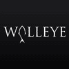 Walleye Partners