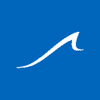 Blue Fin Capital
