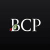Bayberry Capital Partners