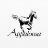 Appaloosa LP